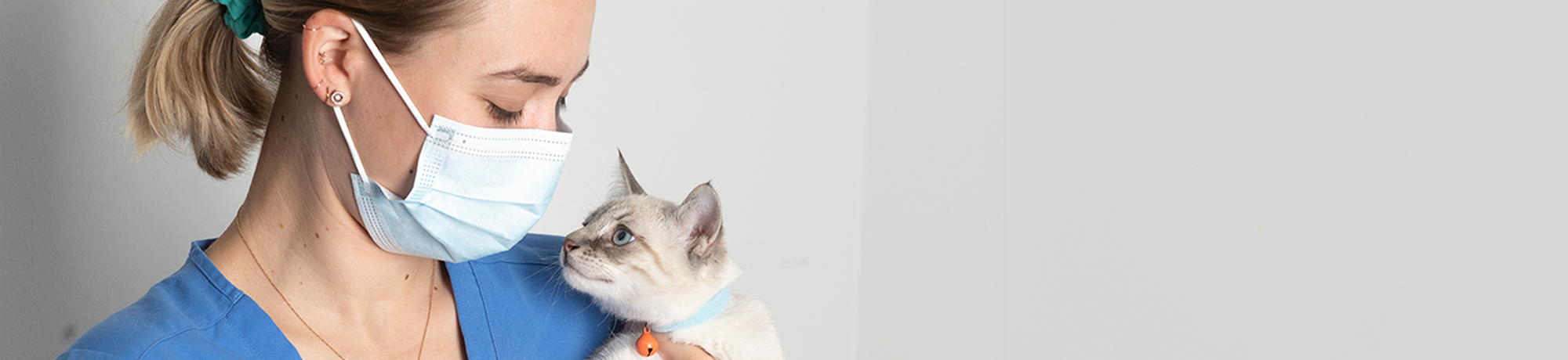 vet holding a kitten